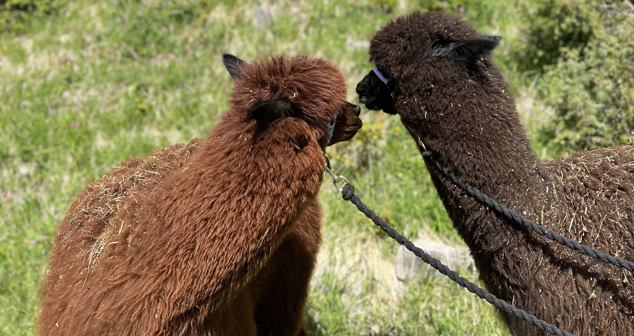 Agriturismo a San Martin in Val Badia