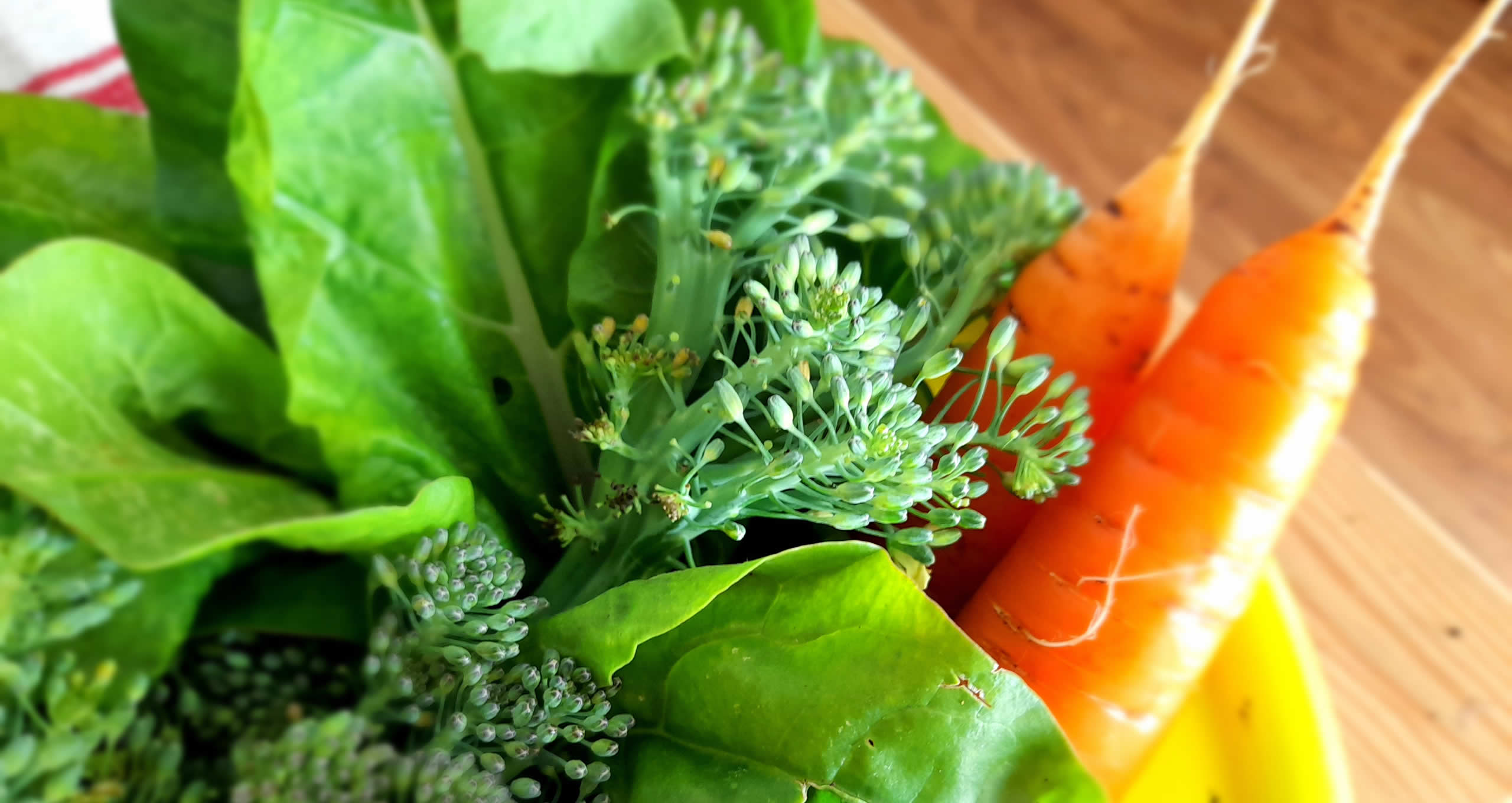 Products from our garden